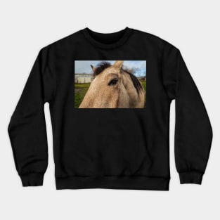 Mane Man Crewneck Sweatshirt